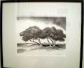 Berrima District Art Society image 5