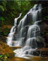Blue Mountains Rejuvenation and Detoxification Retreats logo
