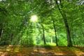 Bodi Balance - holistic health image 4