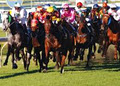 Brisbane Racing Club - Eagle Farm Racecourse image 3