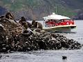 Bruny Island Cruises image 5