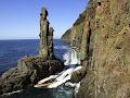 Bruny Island Cruises image 6