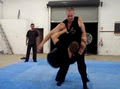 Bujinkan Cairns Ninjutsu image 1