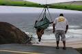 Byron Bay Lennox Head Hang Gliding image 3