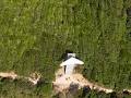 Byron Bay Lennox Head Hang Gliding image 4