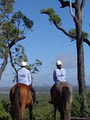 Capricorn Coast Trail Rides image 2