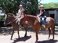 Capricorn Coast Trail Rides image 4