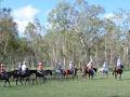 Capricorn Coast Trail Rides image 5