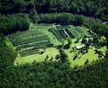 Clyde River Berry Farm image 2