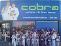 Cobra Martial Arts & Fitness Centres image 2