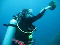 Dive Hervey Bay image 2