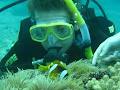 Dive Hervey Bay image 5