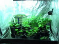 Hobby Grow image 4