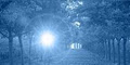 Inner Essence Natural Therapies image 1