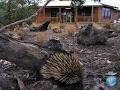 Kangaroo Island Wilderness Retreat image 4