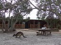 Kangaroo Island Wilderness Retreat logo