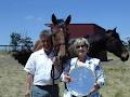 Living Legends image 1