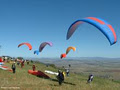 Manilla Paragliding logo