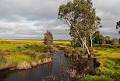 Murray-Darling Basin Authority (MDBA) image 3