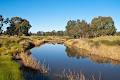 Murray-Darling Basin Authority (MDBA) image 5