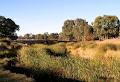 Murray-Darling Basin Authority (MDBA) image 6