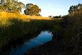 Murray-Darling Basin Authority (MDBA) logo