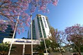 Novotel Brisbane image 2