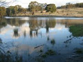 Ochre Arch Farm Tours image 6