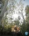 Paperbark Camp image 3