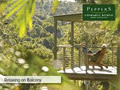 Peppers Coorabell Retreat image 5