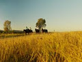 Peppers Hidden Vale South East Queensland Country image 4