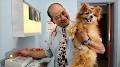 Pet Universe Veterinary Centre - Broadview image 1
