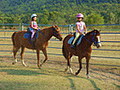 Port Douglas Horse Riding image 3