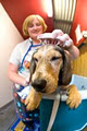 Port Phillip Animal Hospital image 3