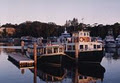 Port Stephens Ferry Service logo