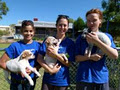 RSPCA WA image 3