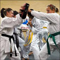 Rhee Tae Kwon Do image 4