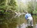 RiverFly Tasmania image 2