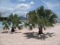 Rydges Tradewinds Cairns image 1