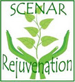 SCENARworks® image 3
