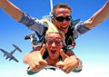 Skydive Byron Bay logo