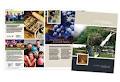 Southern Highlands Corporate Events image 1