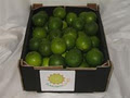 Suncoast Limes image 3