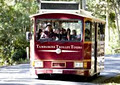 Tamborine Mountain Tourism image 2