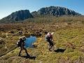 Tasmanian Expeditions image 5