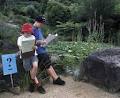 The Blue Mountains Botanic Garden, Mount Tomah image 2