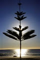 The Observatory Apartments, Port Macquarie image 1