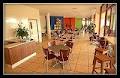 The Organic Cafe image 1