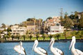 The Sebel Harbourside Kiama image 4