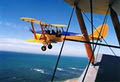 Tiger Moth World image 5